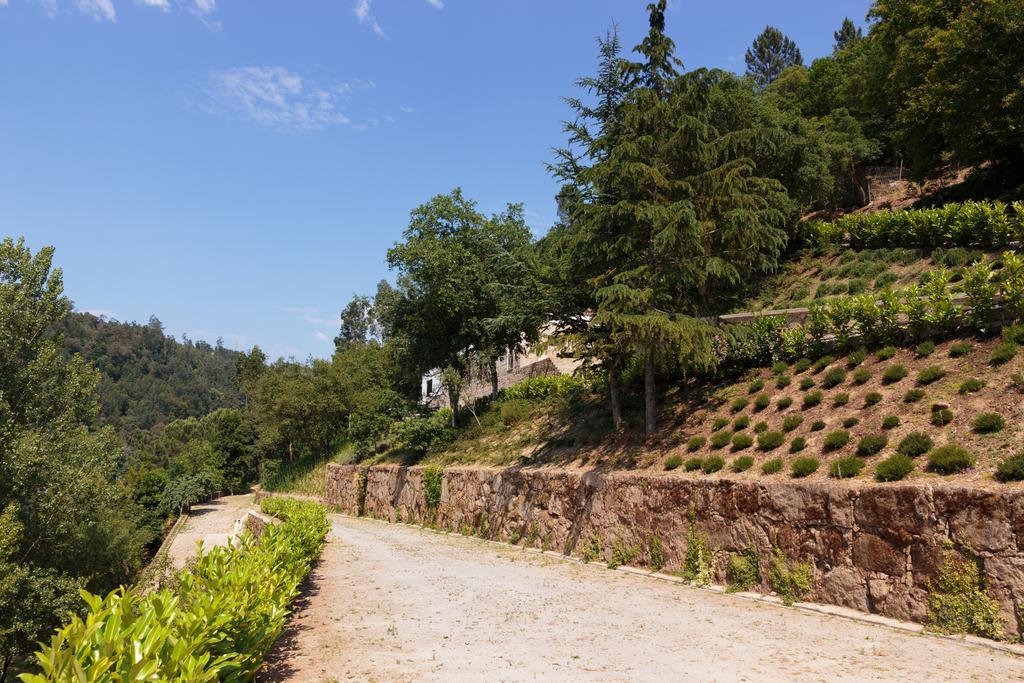 Douro Green Pensionat Castelo de Paiva Eksteriør billede