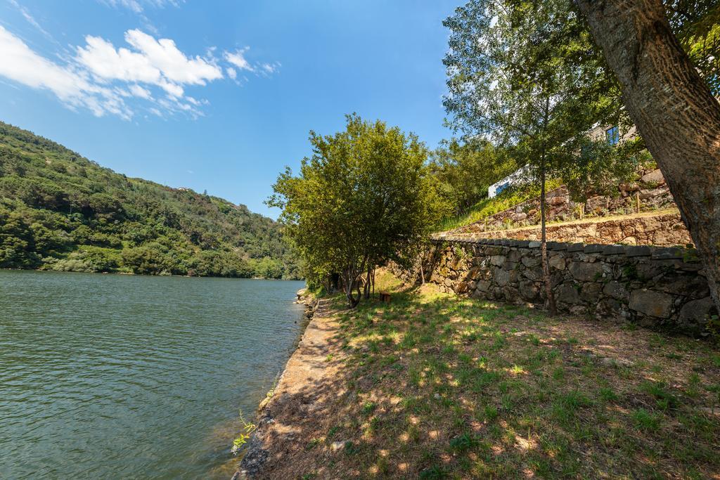 Douro Green Pensionat Castelo de Paiva Eksteriør billede